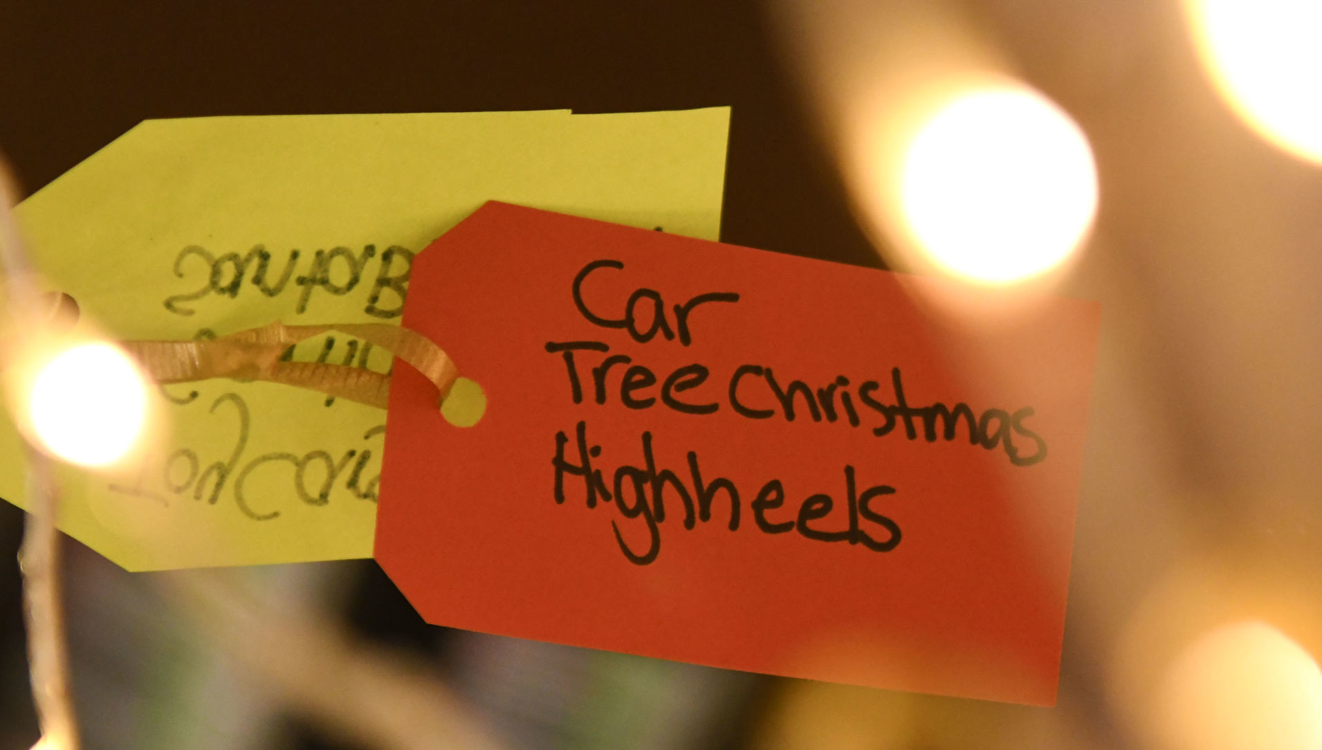 120219 Wishing trees 15.jpg